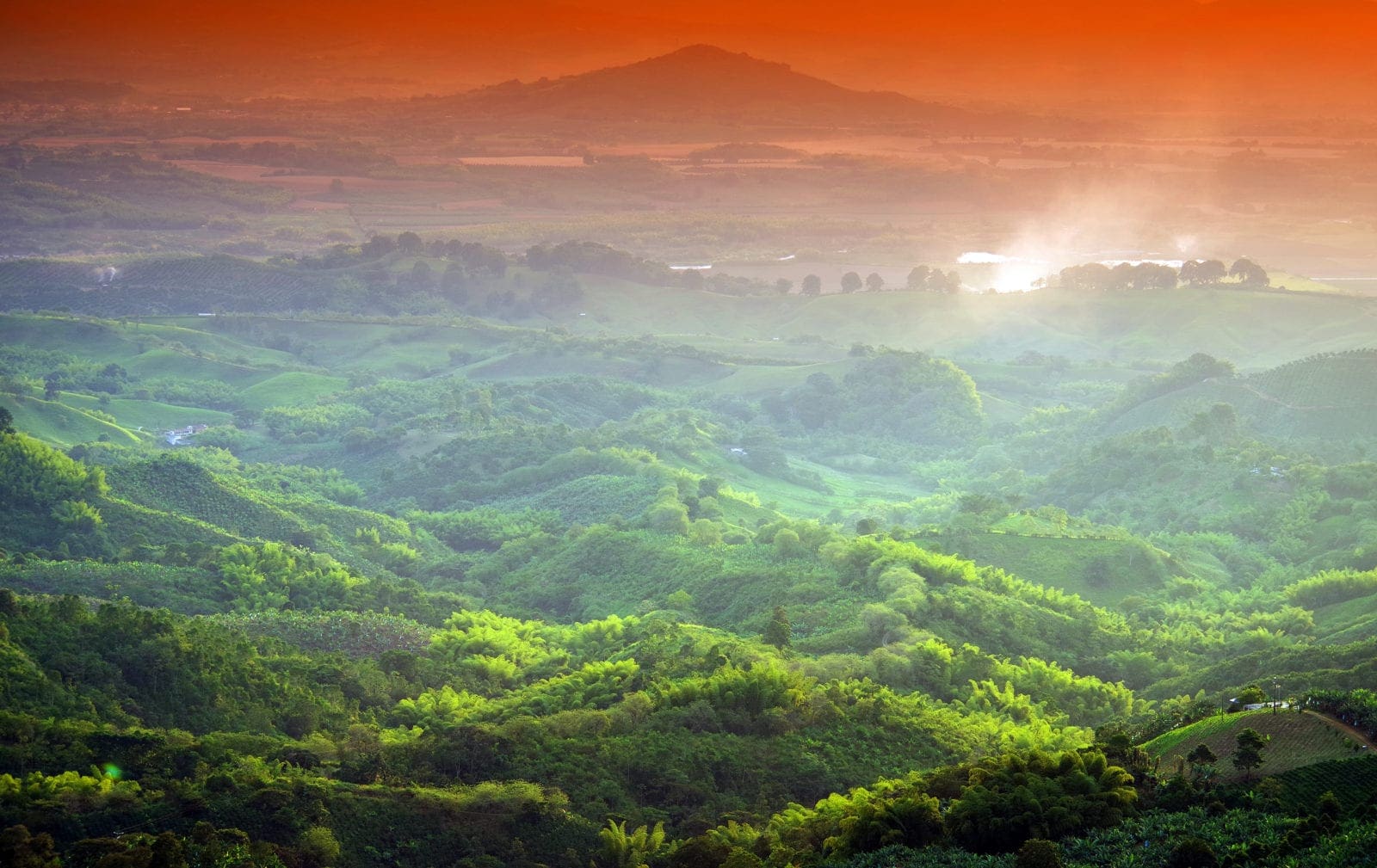 Coffee and banana plantations in Colombia