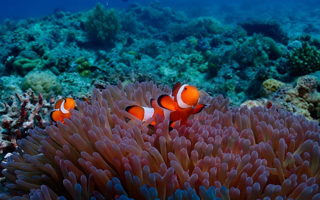 Philippines