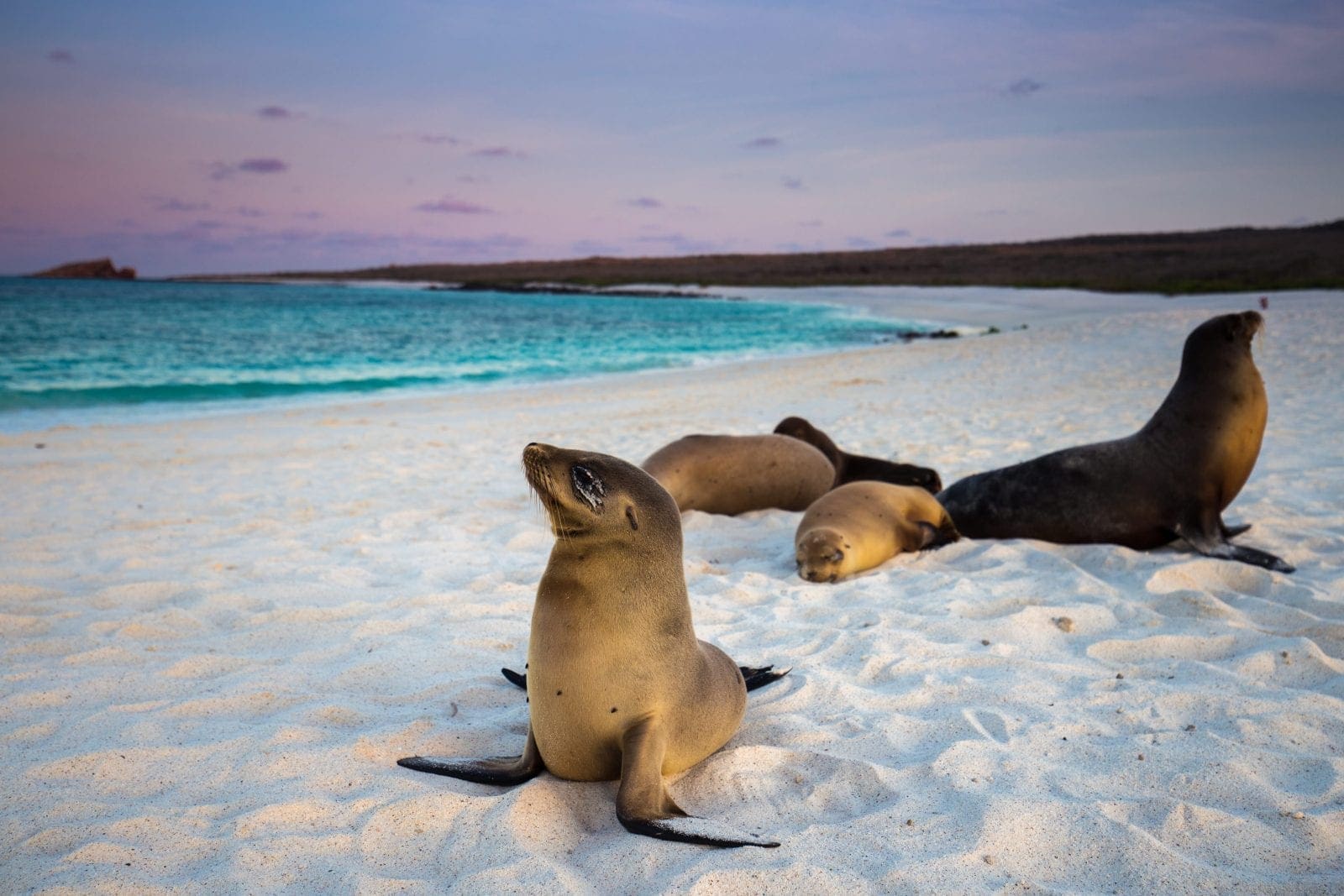 Holidays to Galapagos