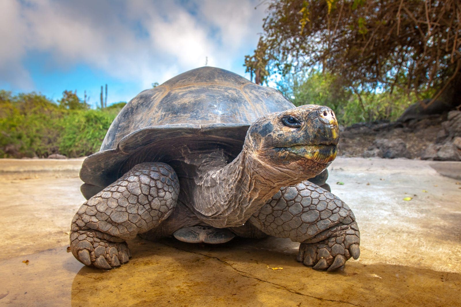 Holidays to Galapagos
