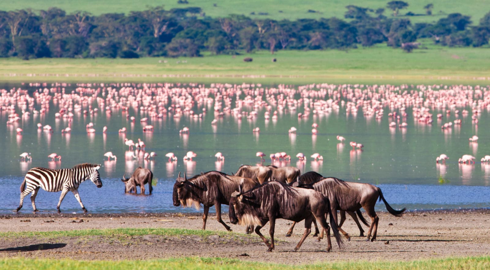 Safari holidays to Tanzania