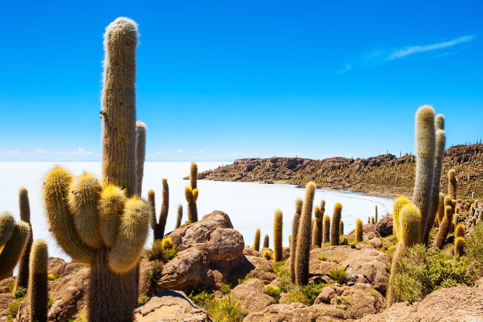 Bolivia Salt Flats