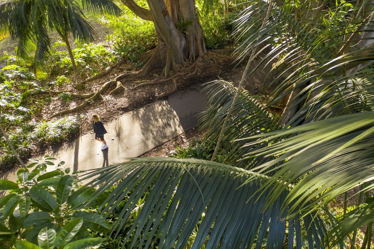 Adelaide Botanic Gardens - Tourism Australia