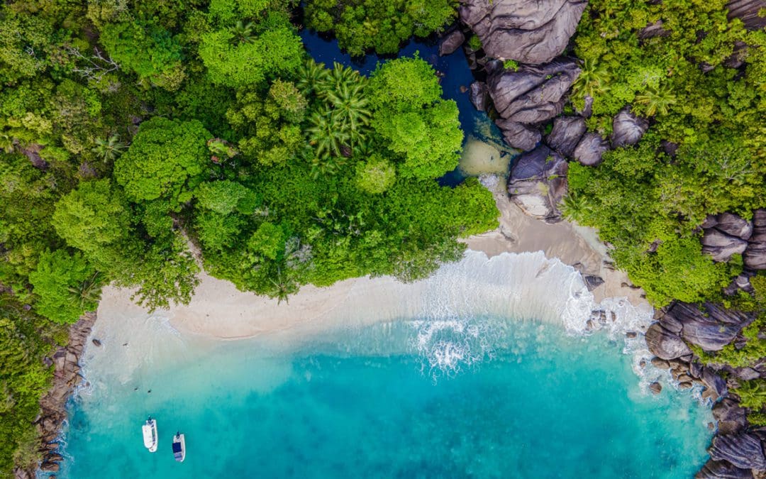 Dubai & Seychelles