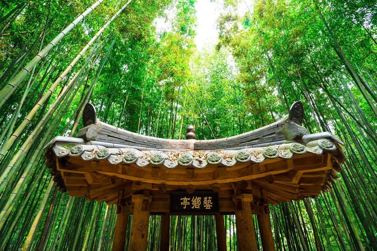 Bamboo Garden - Korea Tourism Organisation/Kim Jiho