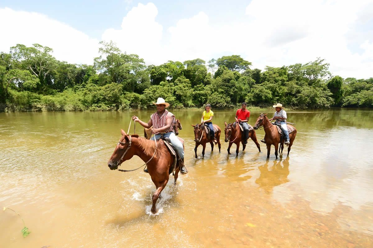 Banana Bank Lodge horseback riding - Travel Belize
