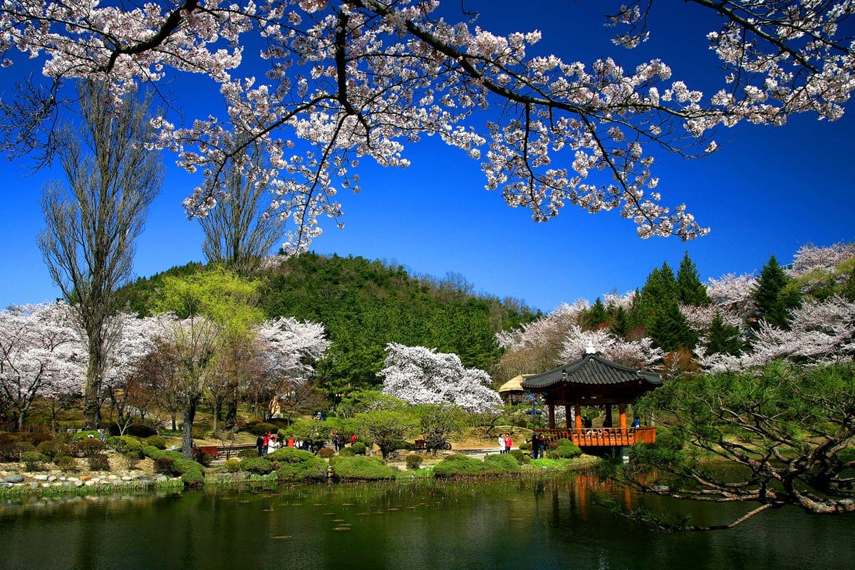 Bomunjeong Pavilion - Korea Tourism Organisation/Jeong Eun Yeong