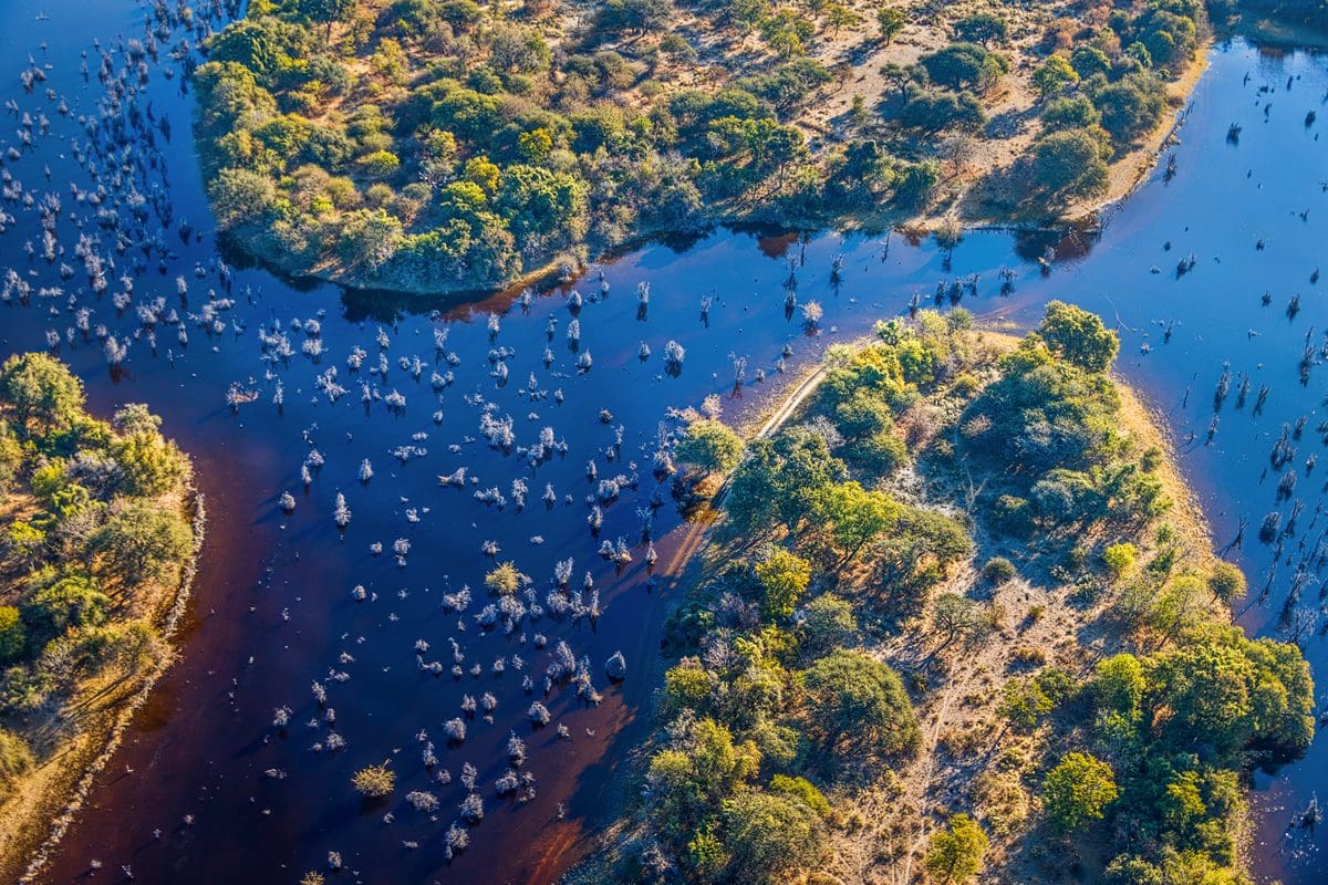 Aerial view of Botswana Delta