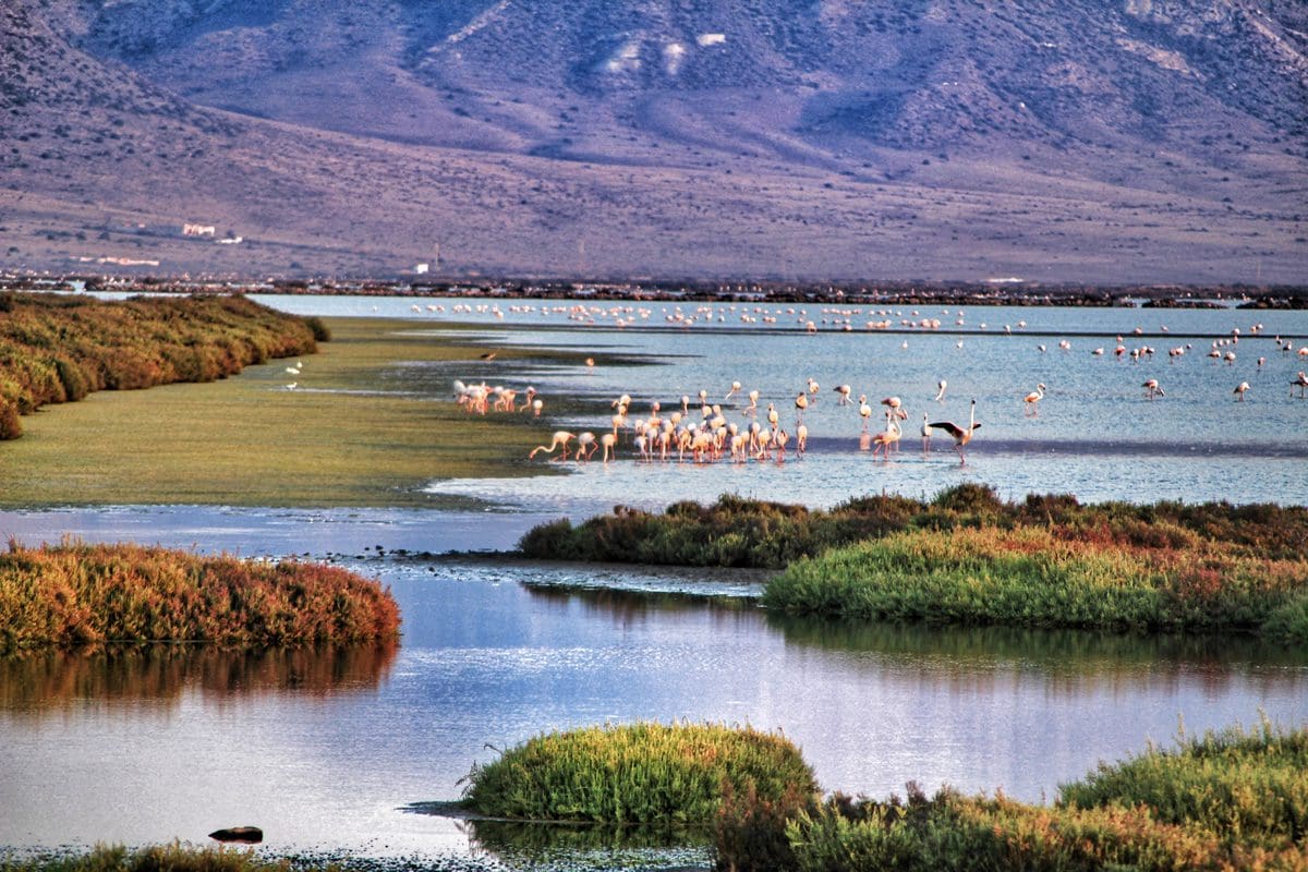 Cabo de Gata wetlands in Costa Almeria