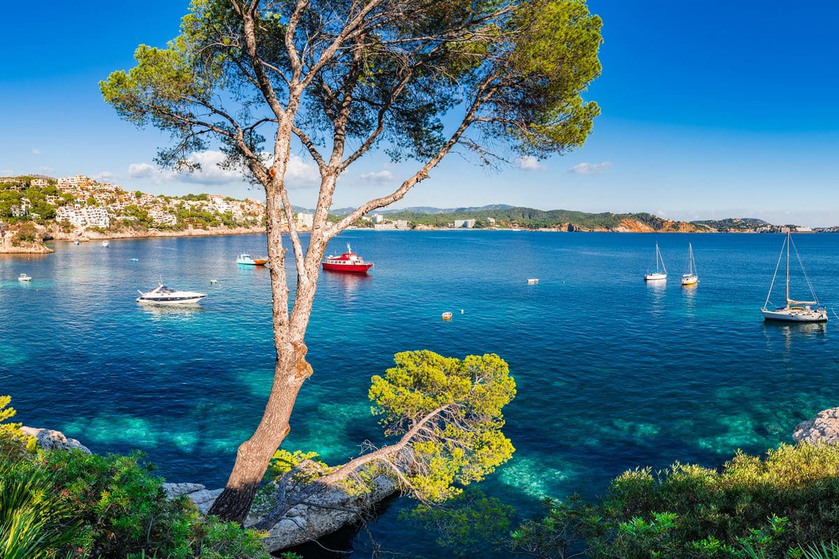 Cala Fornells, Majorca