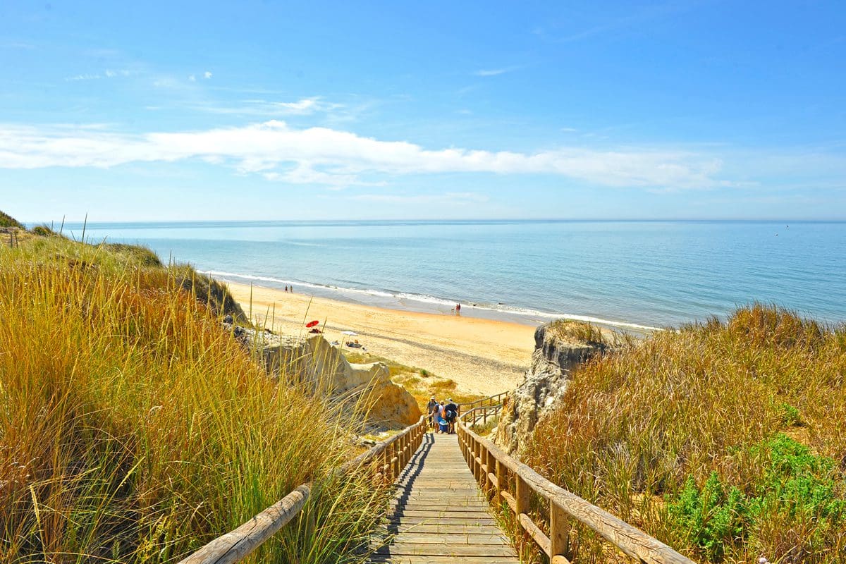 Wooden staircase at the Cliff of Asperillo in Cuesta Maneli beach, very close to the famous Doñana National Park and Mazagón in the province of Huelva, Andalusia, Spain