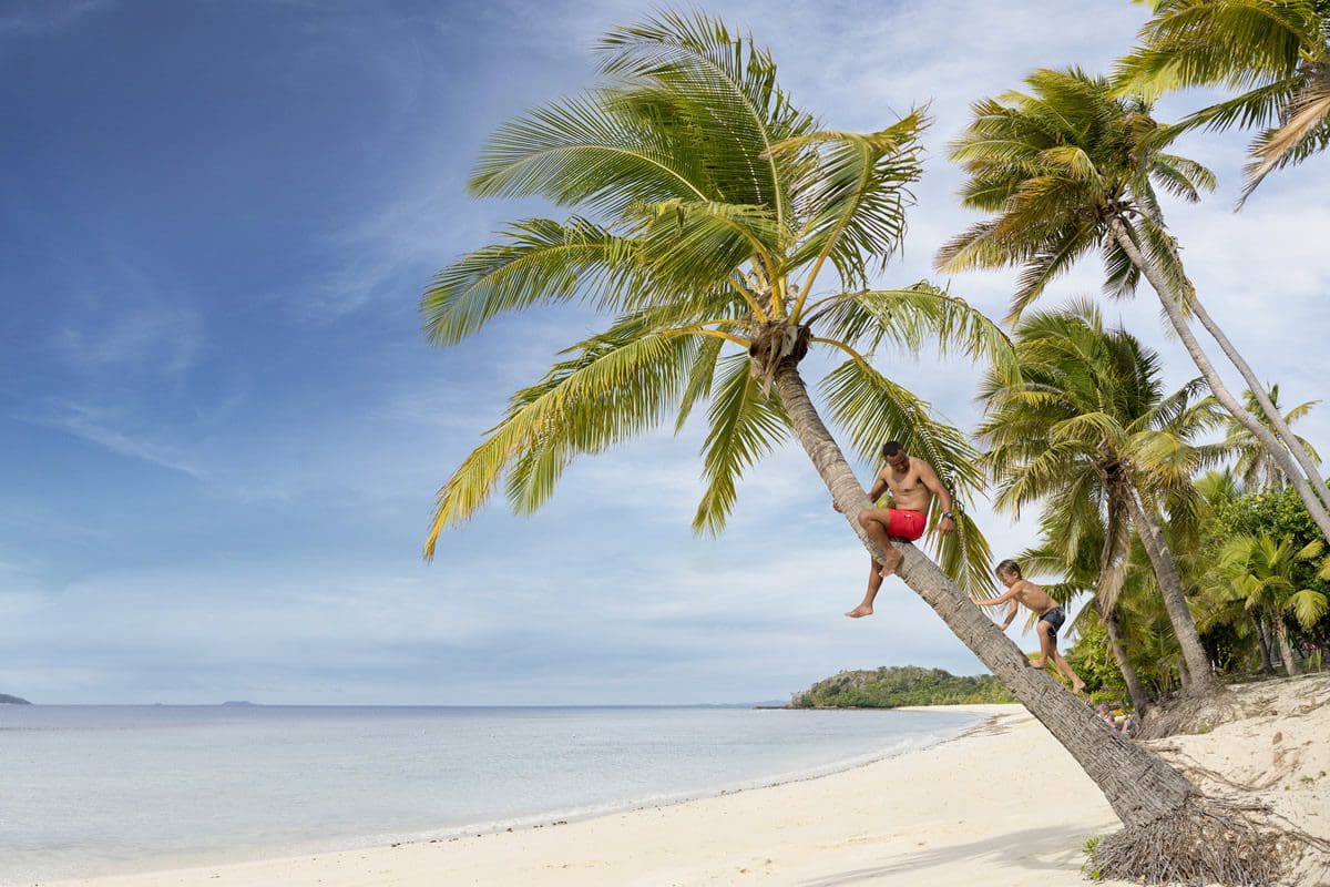 Climbing a coconut tree on Mana Island in the Mamanuca Isles - Tourism Fiji
