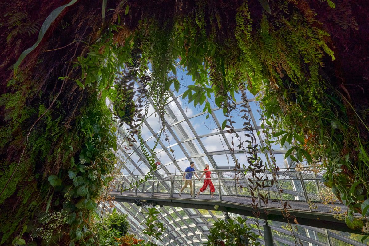 Cloud Forest in the Gardens By the Bay - Singapore Tourism Board
