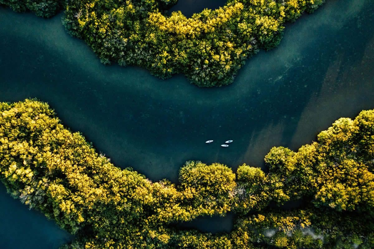 Cocoa Beach kayak tour on the Space Coast - Visit Florida/Emergent Media