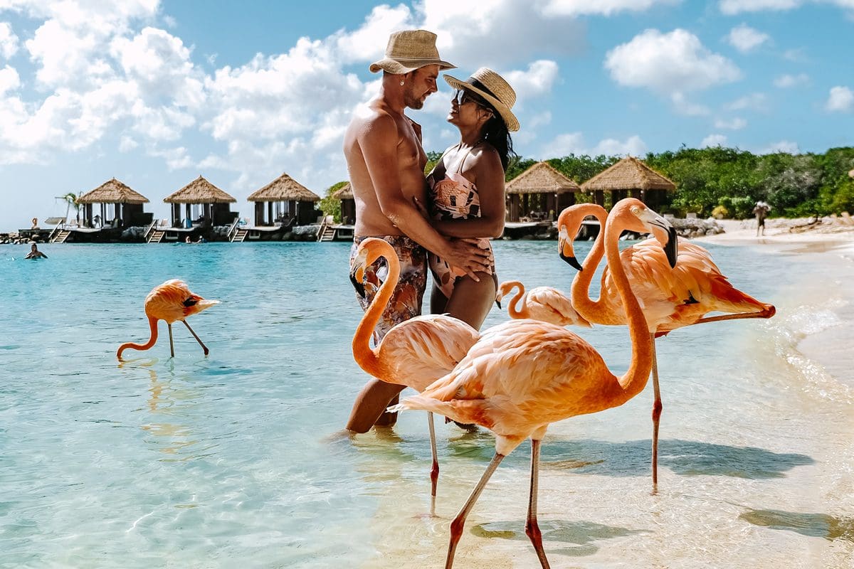 Couple sharing the beach with flamingos in Aruba
