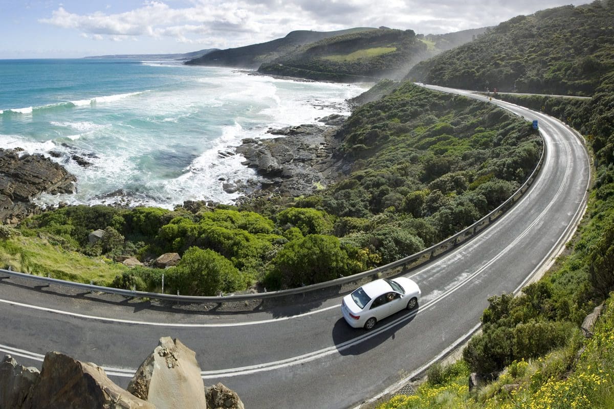 Driving the Great Otway National Park - Great Ocean Road Marketing