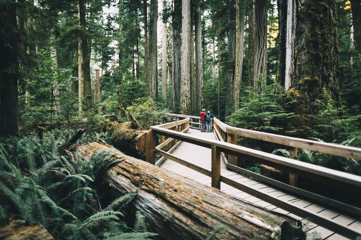 Exploring MacMillan Provincial Park, Vancouver Island - Destination BC/Graeme Owsianski