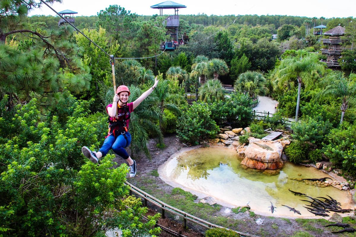 Gatorland zipline - Visit Orlando