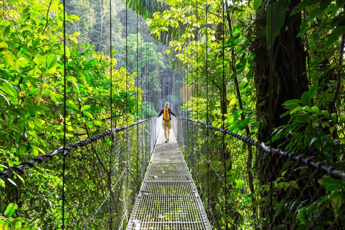 Hiking the lush Costa Rica rainforest