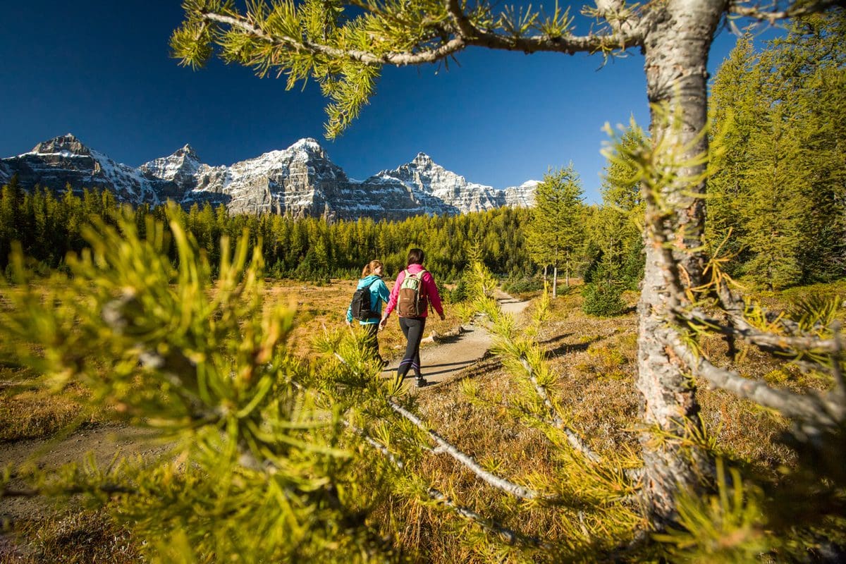 Hiking Larch Valley and Sentinal Pass - Banff & Lake Louise Tourism/Paul Zizka