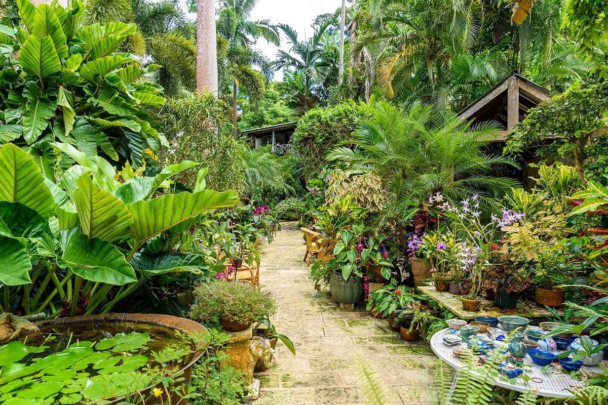 Lush Huntes Gardens - Visit Barbados