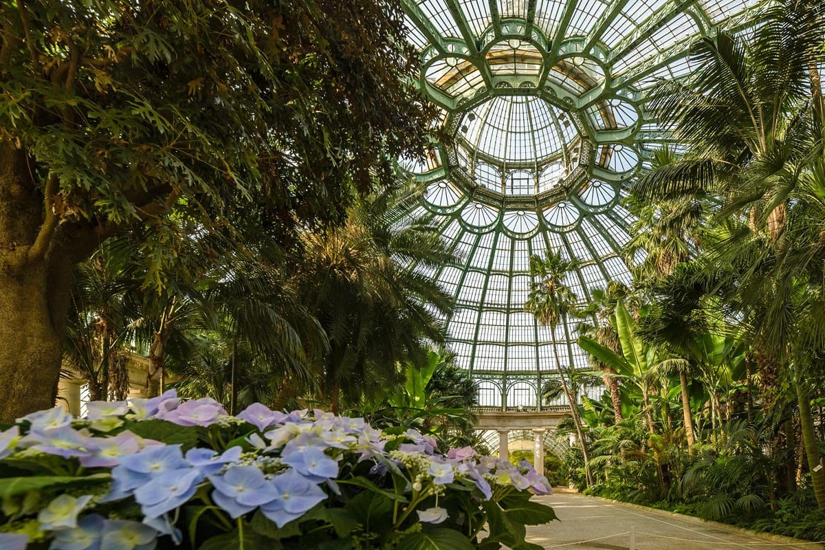 Inside one of the Royal Greenhouses of Laeken - Visit Brussels/Jean-Paul Remy