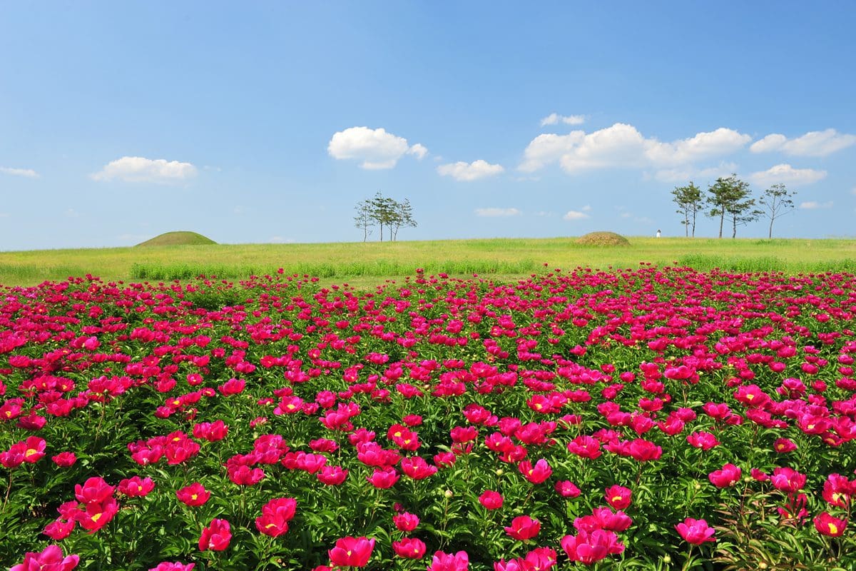 Jomoonguk Historical Site - Korea Tourism Organisation/Lee Okpyo