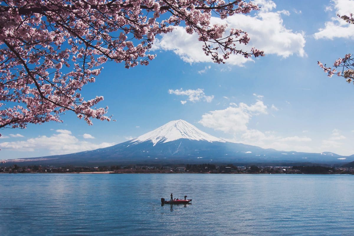 Kawaguchi Lake and Mount Fuji during cherry blossom season