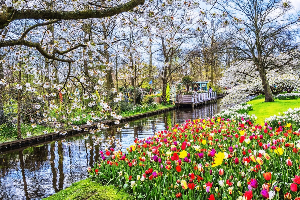 Keukenhof Park near Amsterdam