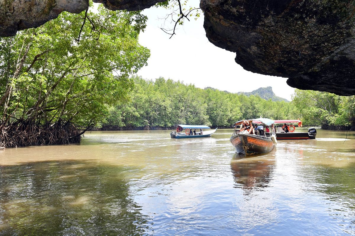 Kilim River mangrove tour, Langkawi - Malaysia Tourism