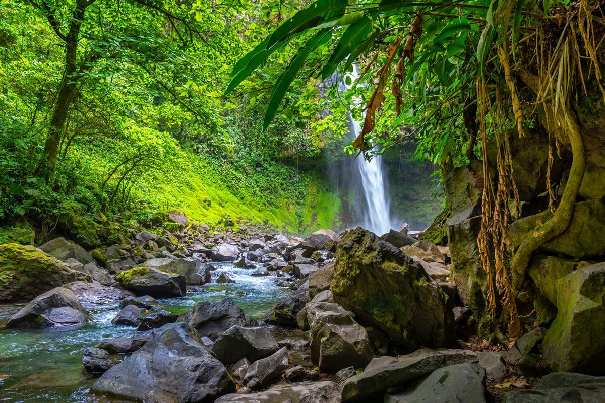 La Fortuna Waterfall, forest and river, Costa Rica