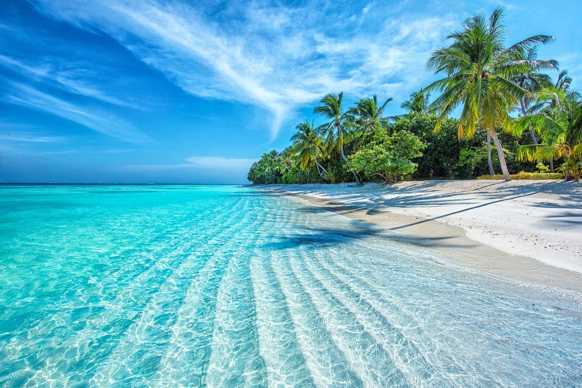 Tropical beach on an Maldives island