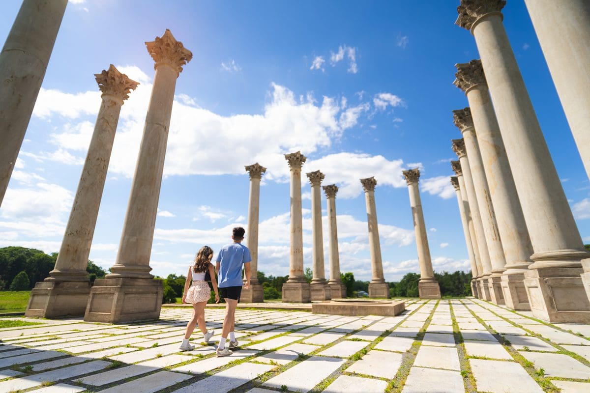 National Arboretum - washington.org