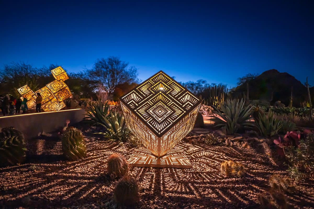 Phoenix Desert Botanical Gardens light bloom – Arizona Office of Tourism/An Pham