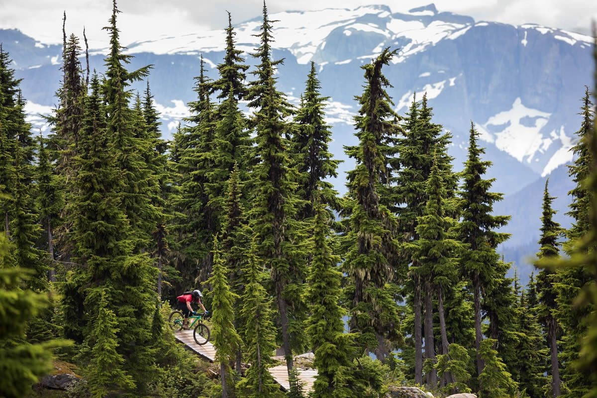 Riding the Wizard Bike Trail in Mount Washington Alpine Resort - Destination BC/Boomer Jerritt
