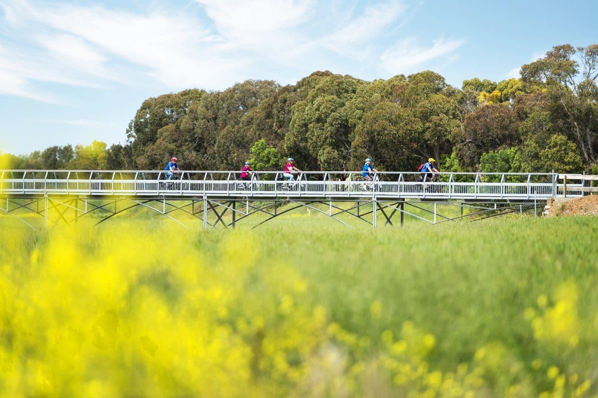 The 35km Riesling Trail in the Clare Valley Wine region, 2 hours north of Adelaide - Tourism Australia