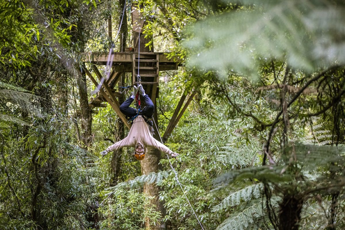 Rotorua Canopy Tours