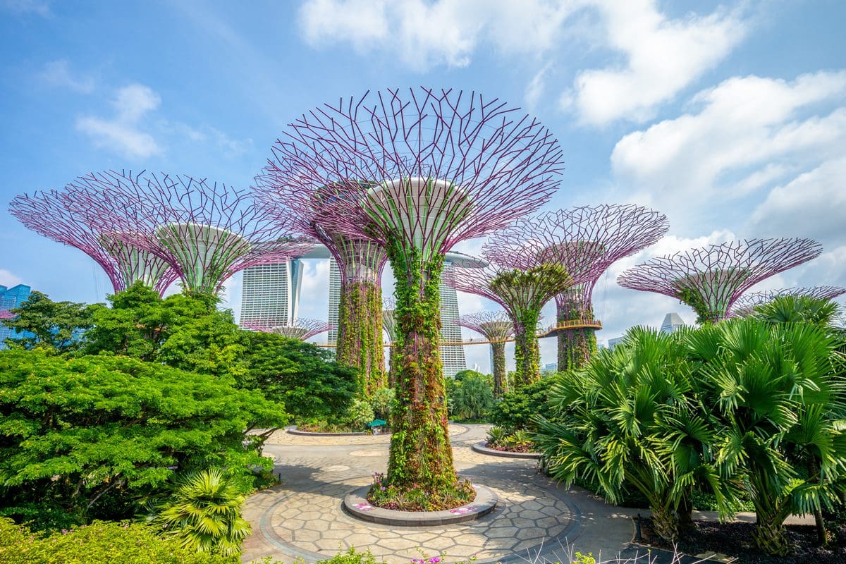 Singapore Supertree Grove Gardens