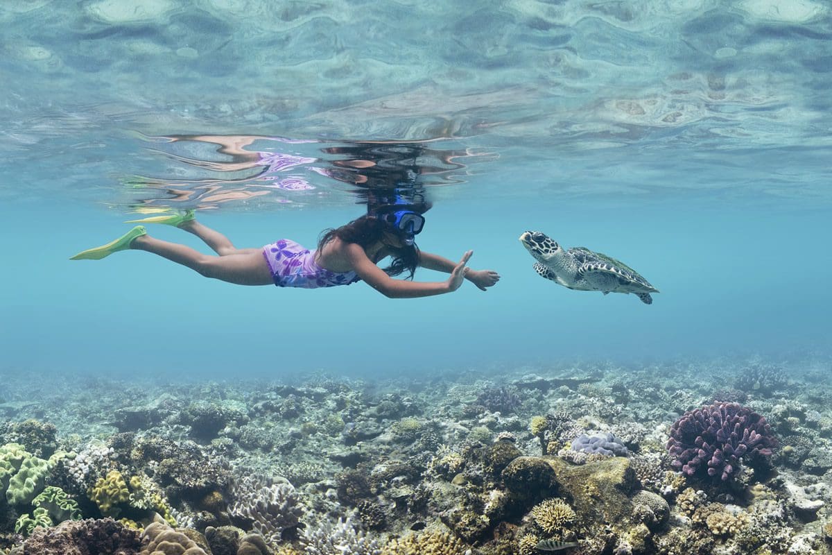 Snorkelling the coral reef of Treasure Island, Mamanuca - Tourism Fiji