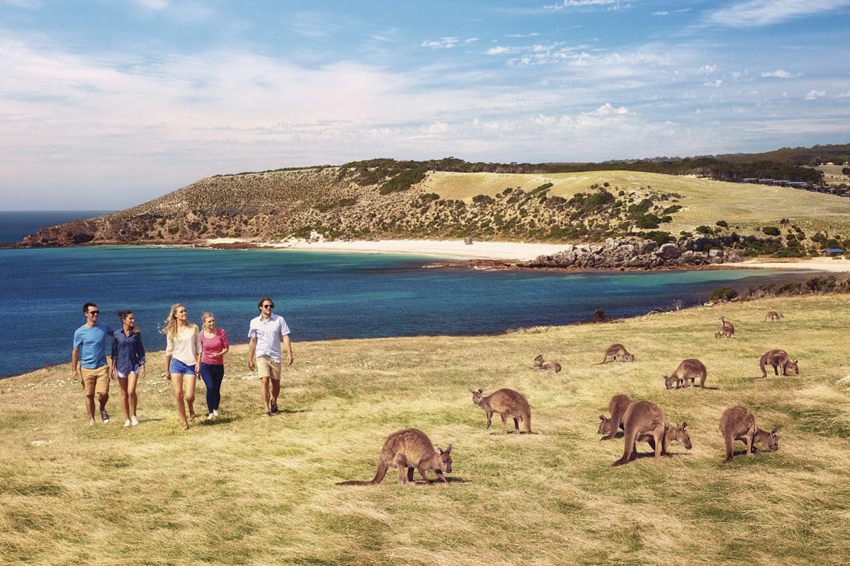 Stokes Bay, Kangaroo Island - South Australian Tourism Commission