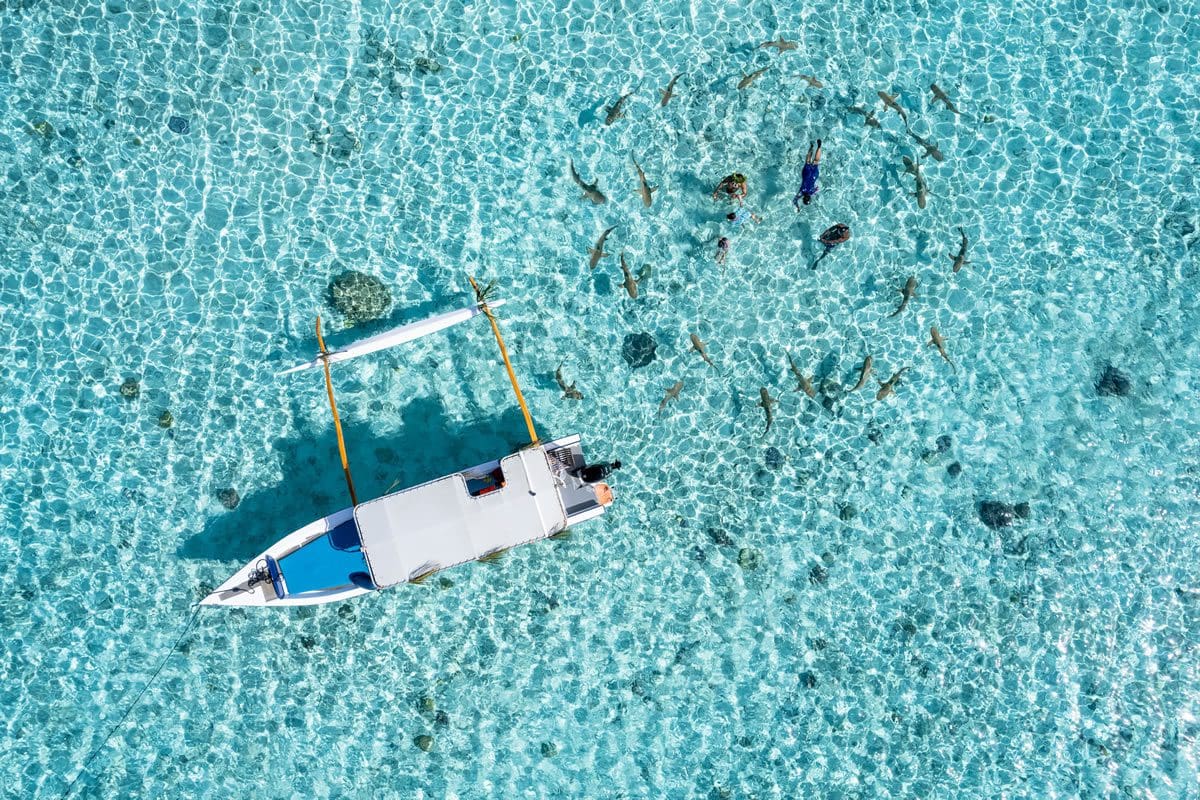 Swimming with sharks in Bora Bora - Tahiti Tourisme/Stephane Mailion Photography