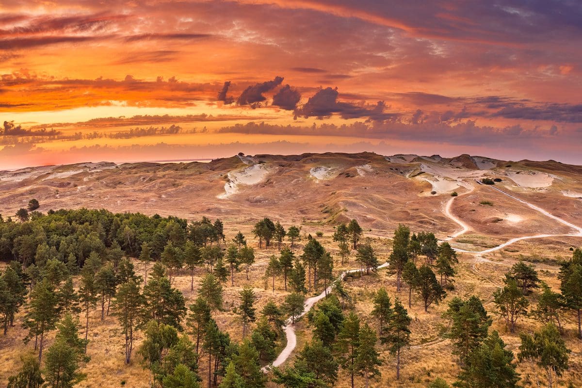 The Curonian Spit sand dunes and purple sky - Lithuania Travel/Andrius Aleksandravicius