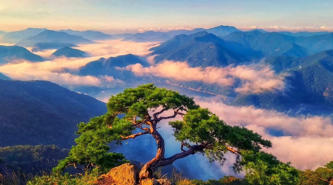 South Korea