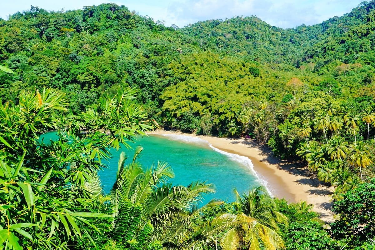 Overlooking Englishman Bay, Tobago