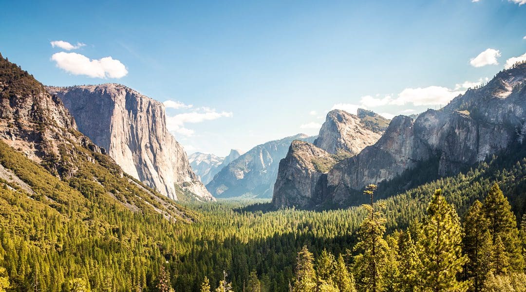 Yosemite National Park