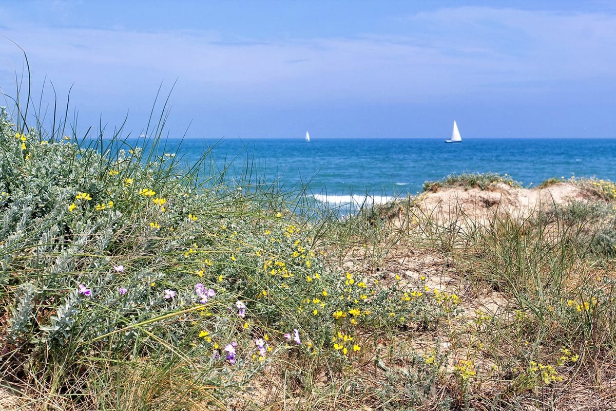 View out to sea at El Saler - Visit Valencia