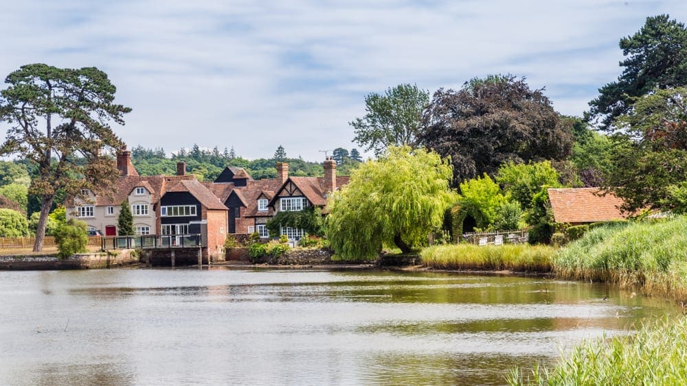 Holidays to the New Forest