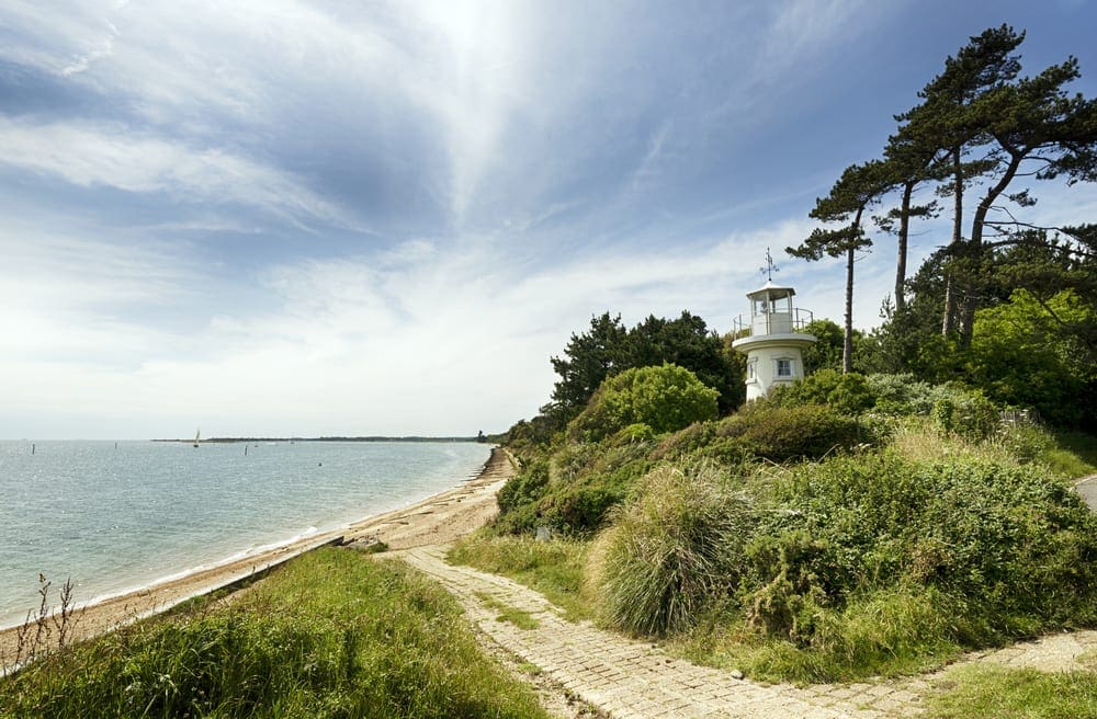 Holidays to the New Forest