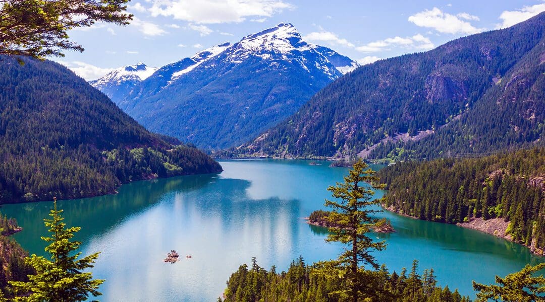 Seattle & The Pacific Northwest