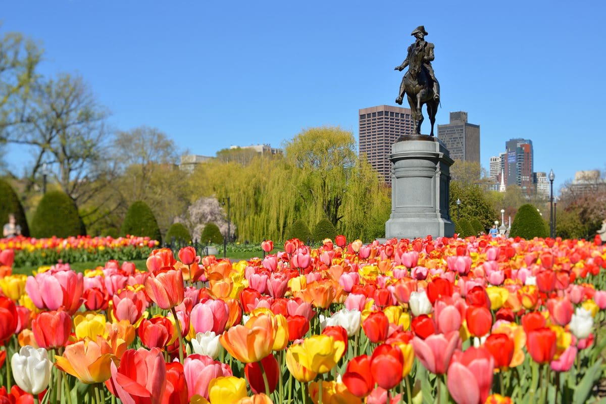Franklin Park, Boston